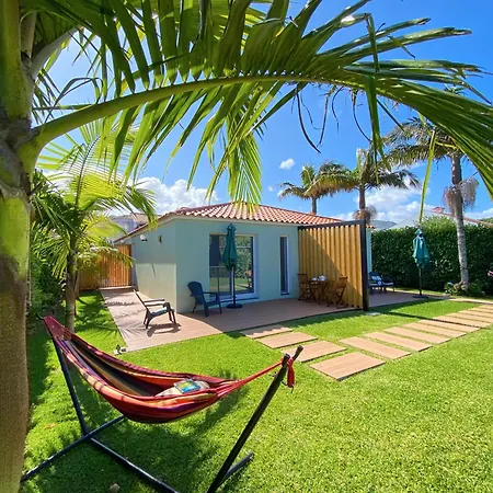 Terra Vivaz - Ribeira