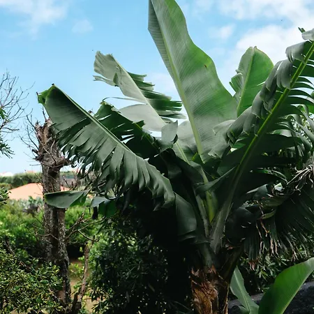 Terra Vivaz - Ribeira 4* Ribeira Grande