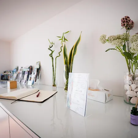 Pensionat Terra Vivaz - Ribeira Ribeira Grande