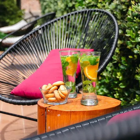 Terra Vivaz - Ribeira