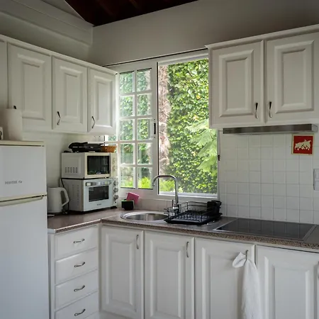 Terra Vivaz - Ribeira 4*