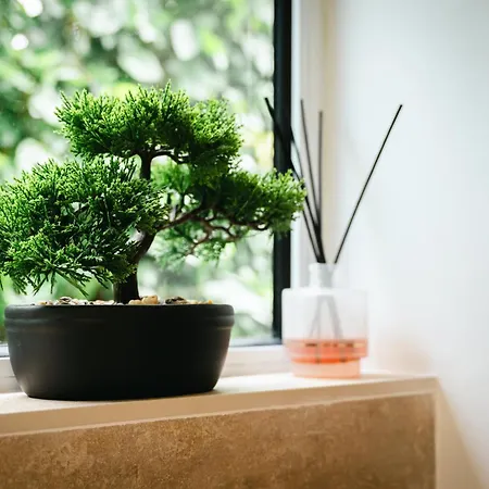 Terra Vivaz - Ribeira Pensionat