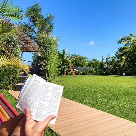 Terra Vivaz - Ribeira Guest house