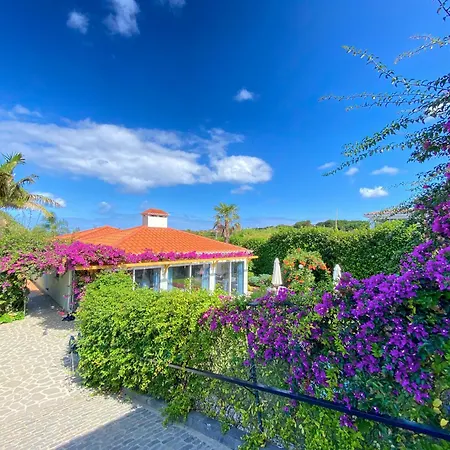 Terra Vivaz - Ribeira