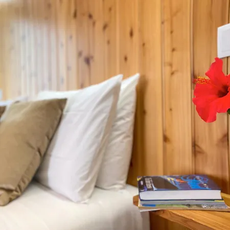 Terra Vivaz - Ribeira Penzion