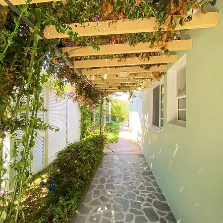 Terra Vivaz - Ribeira Guest house