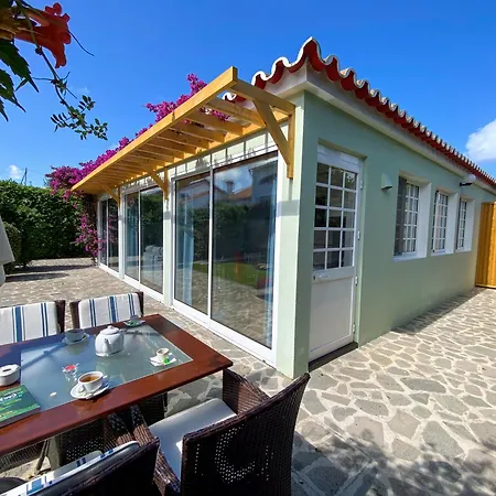 Terra Vivaz - Ribeira *