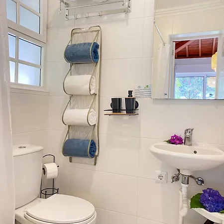 Terra Vivaz - Ribeira Guest house *