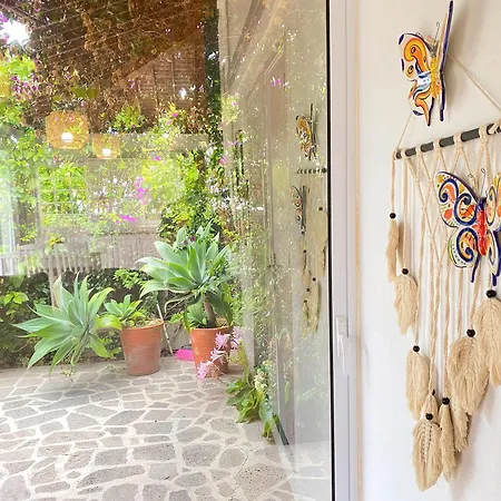 Guest house Terra Vivaz - Ribeira