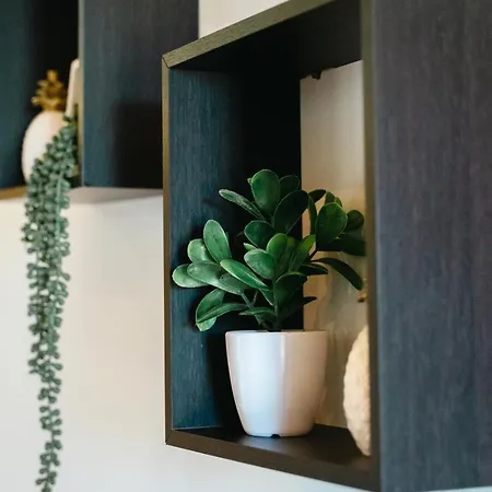 Penzion Terra Vivaz - Ribeira Ribeira Grande