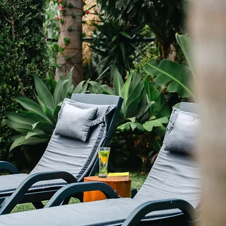 Terra Vivaz - Ribeira Ribeira Grande