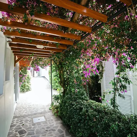 Terra Vivaz - Ribeira