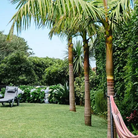 Terra Vivaz - Ribeira Ribeira Grande