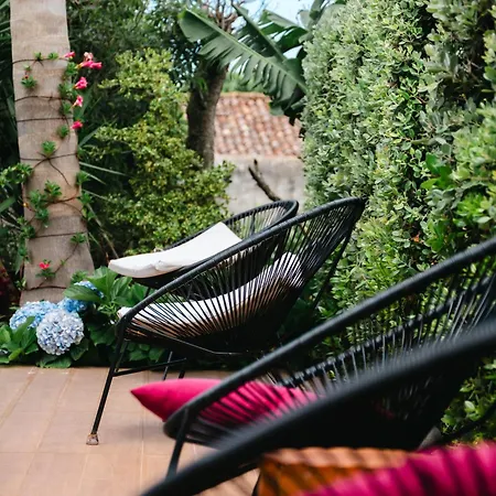 Terra Vivaz - Ribeira リベイラ・グランデ