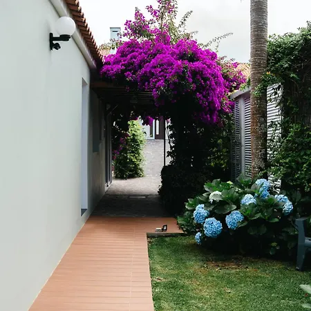 Terra Vivaz - Ribeira Penzion