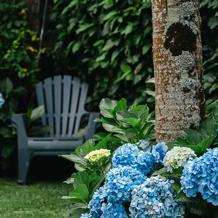 ゲストハウス Terra Vivaz - Ribeira 4*