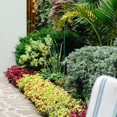 Terra Vivaz - Ribeira Penzion 4*