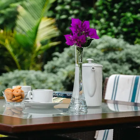 Guest house Terra Vivaz - Ribeira 4*