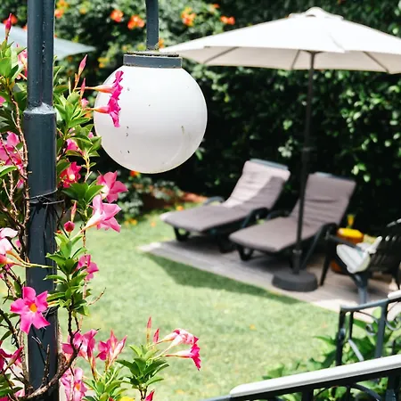 Terra Vivaz - Ribeira 4*