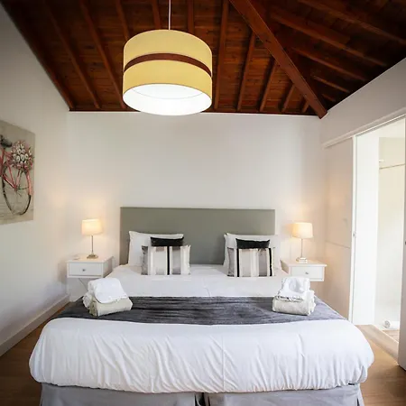 Terra Vivaz - Ribeira